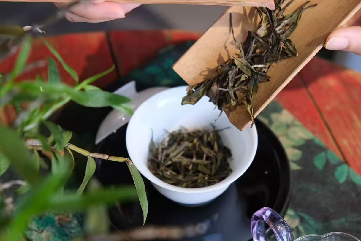 Tea for Julie